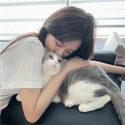 鸡毛信